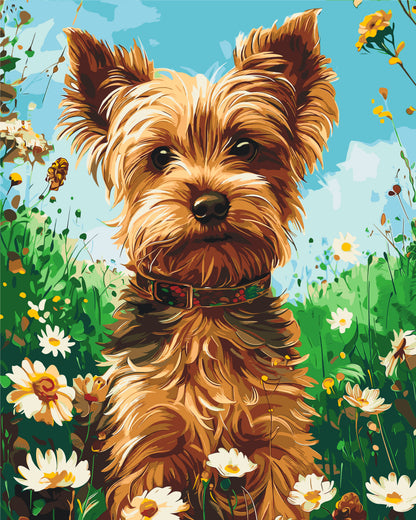 Malen nach Zahlen auf Keilrahmen 40×50 cm – Yorkshire Terrier – Tiere – LW 30470