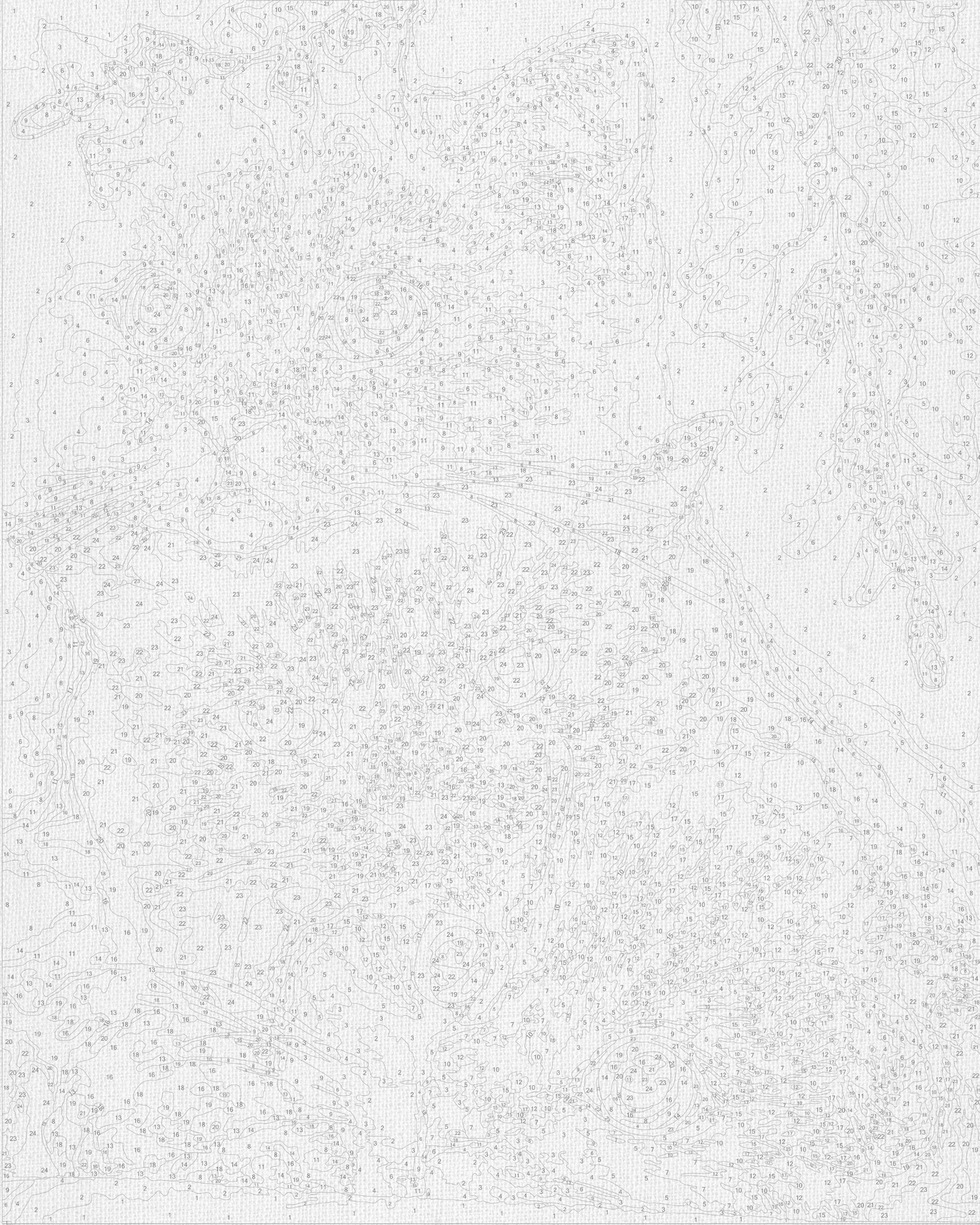 Malen nach Zahlen auf Keilrahmen 40×50 cm – Verspielte Kätzchen – Tiere – LW 31720