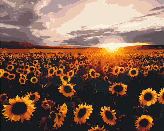 Malen nach Zahlen auf Keilrahmen 40×50 cm – Landschaft/Blumen. Sonnenblumenfeld LW 3175