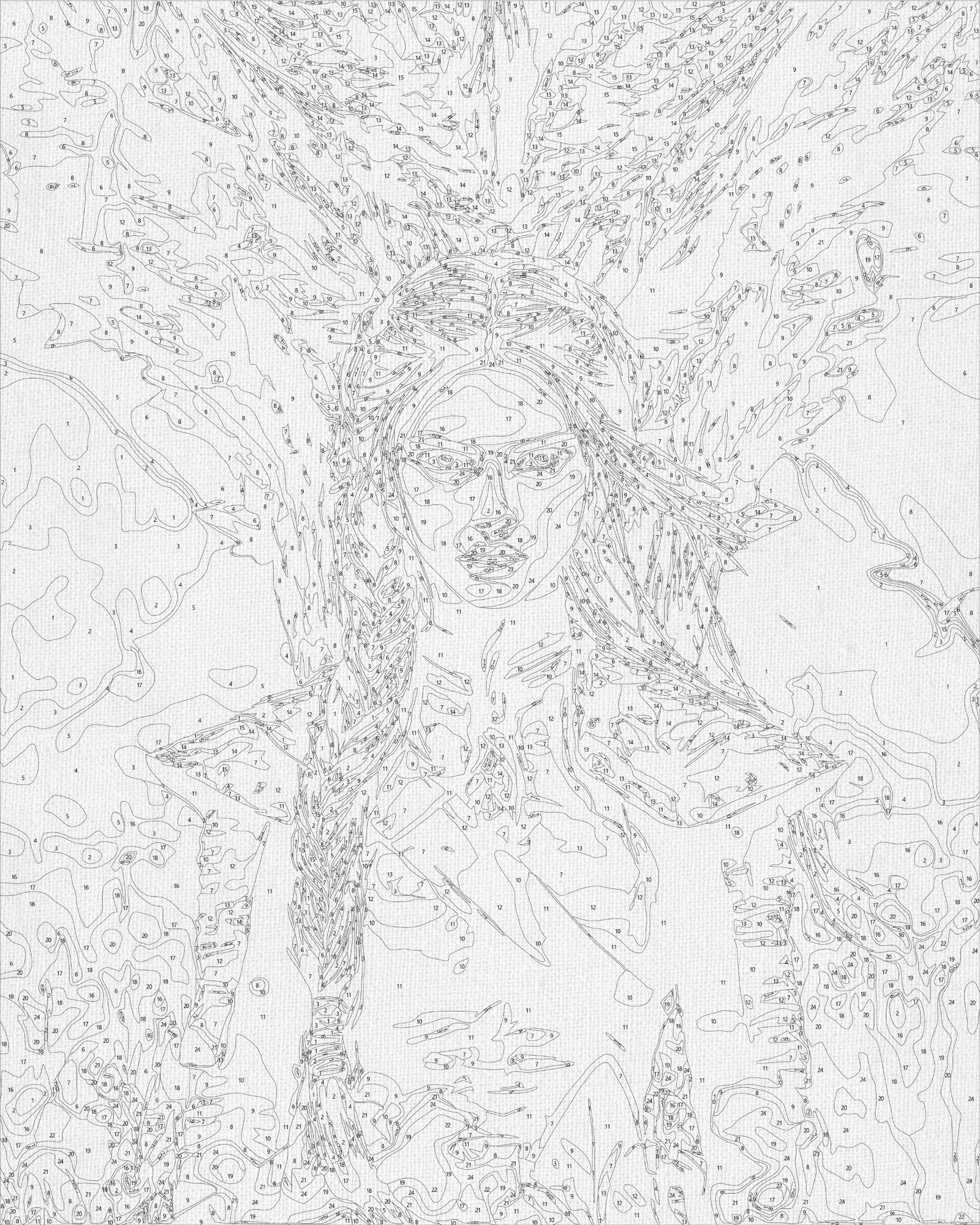 Maľovanie podľa čísel na ráme 40*50 cm - Štvrté krídlo. Violet Sorrengail - Fantasy - LW 3485