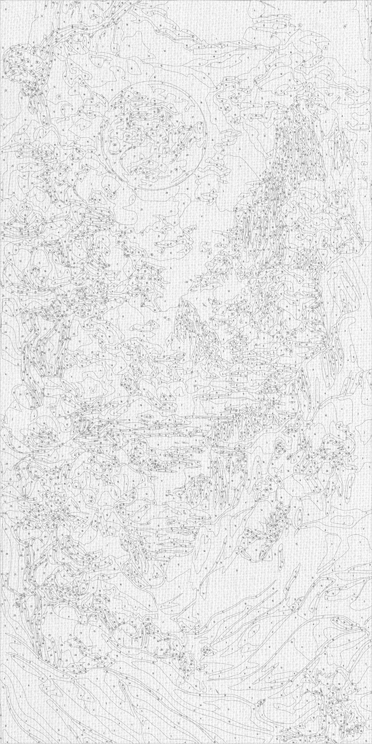 Malen nach Zahlen auf Keilrahmen 40×80 cm – Abstraktion: Bergblumen – Landschaft/Blumen – LW 5104