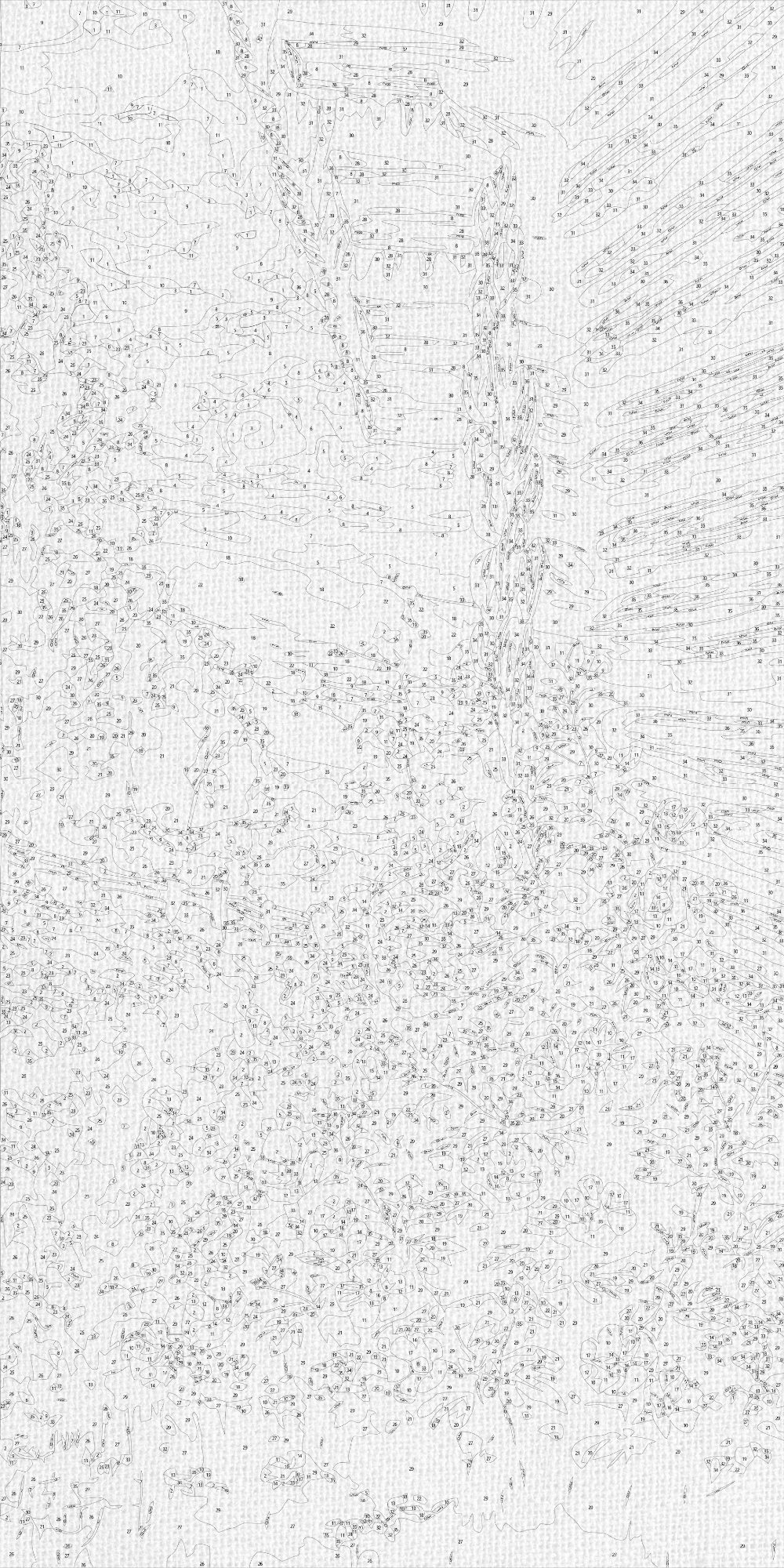Malen nach Zahlen auf Keilrahmen 40×80 cm – Blumiger Sommerabend – Landschaft/Blumen – LW 5114