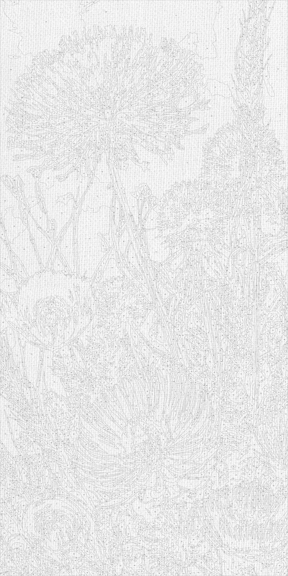 Malen nach Zahlen auf Keilrahmen 40×80 cm – Blumen LW 5164
